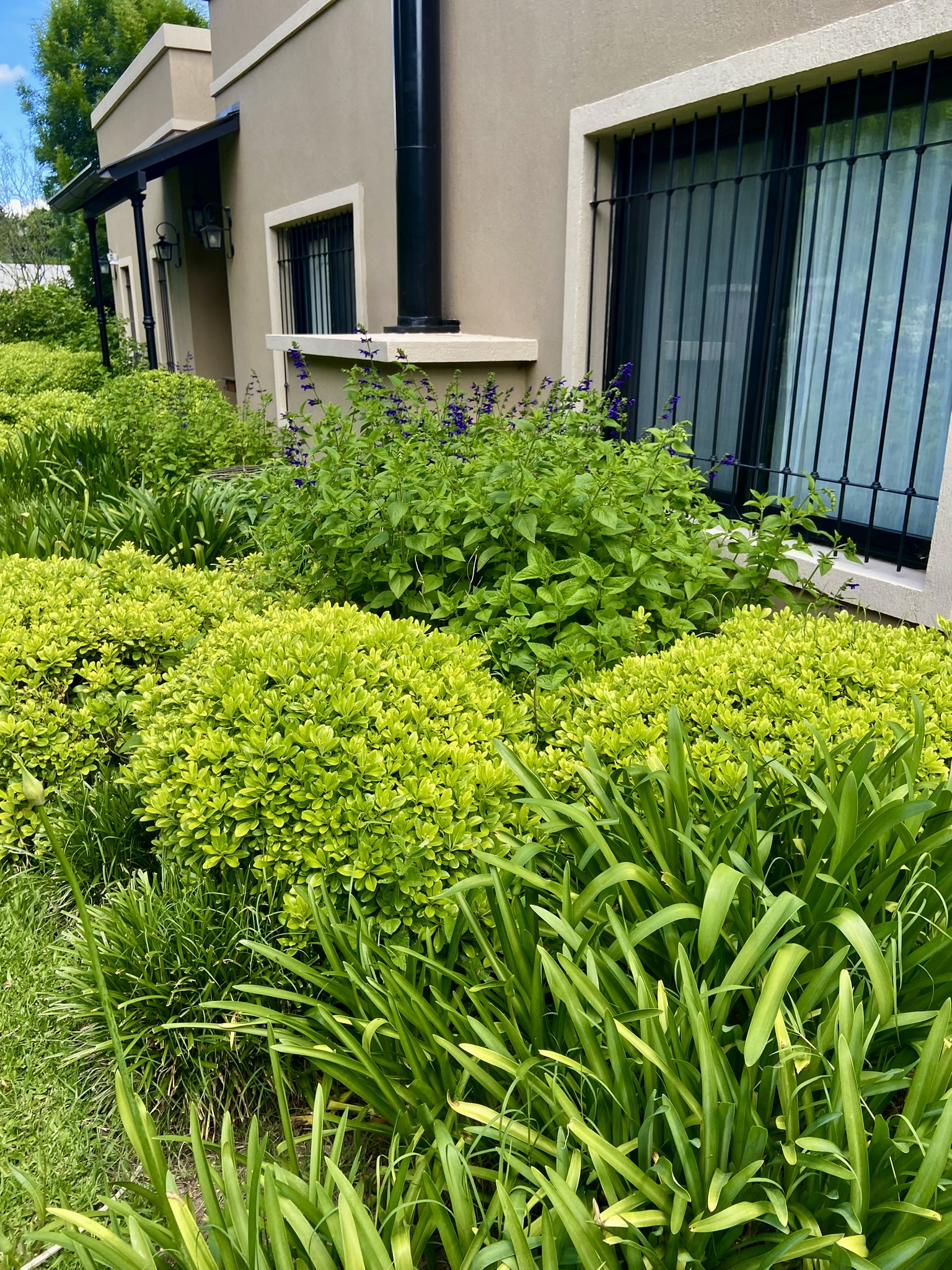 Jardín