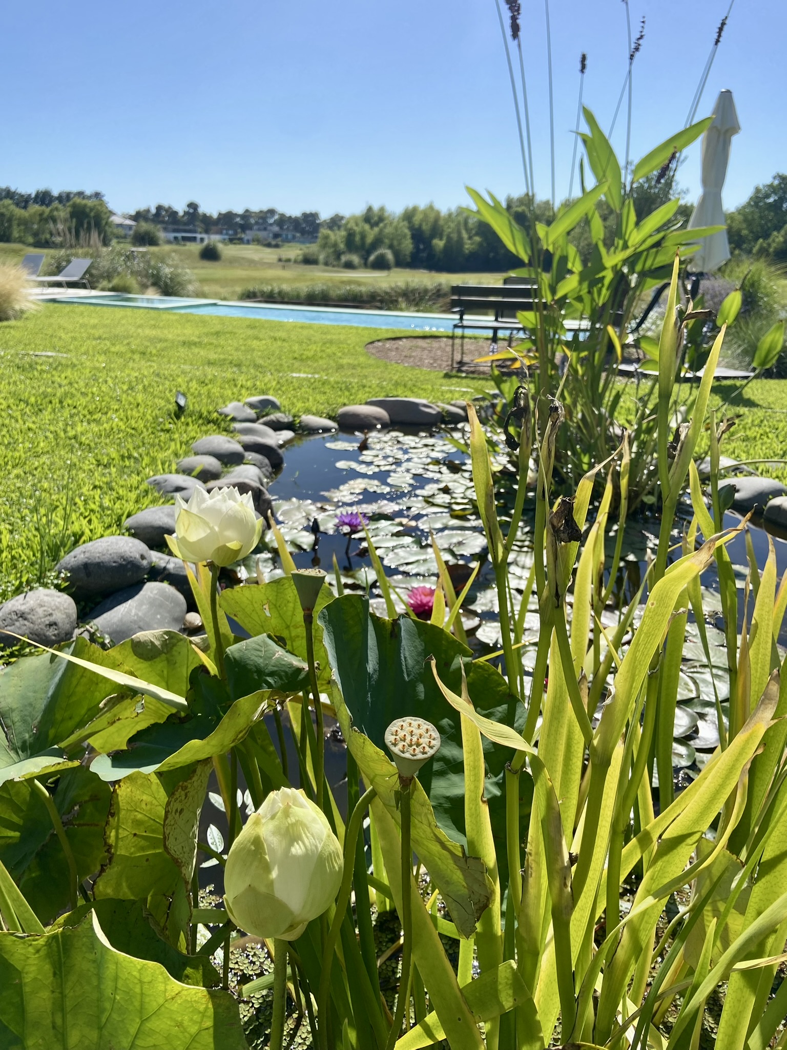 Detalle de jardín